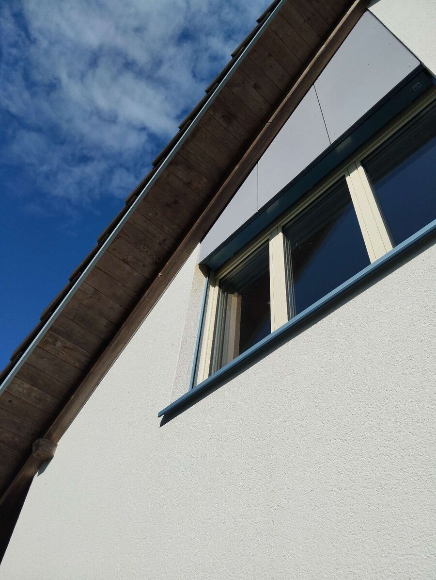 Bee nest at the house remove