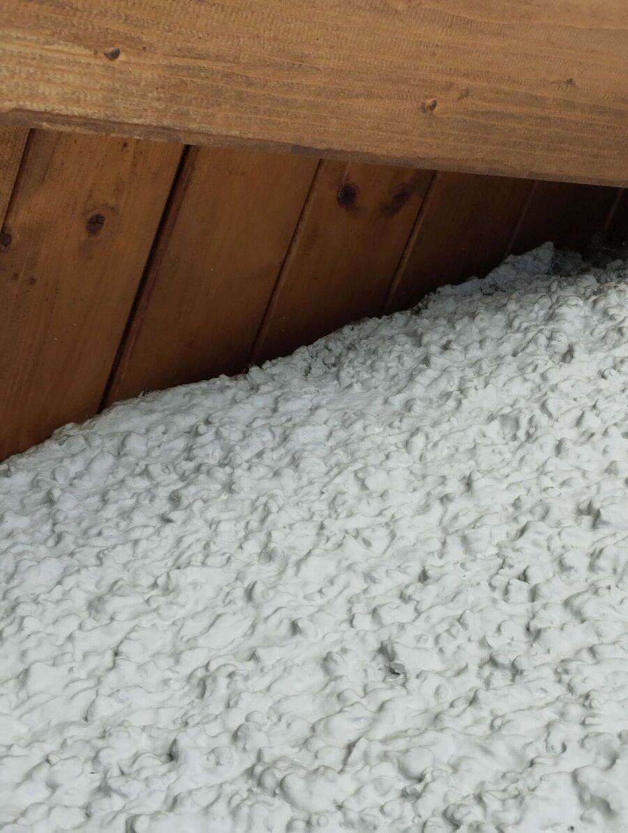 Bee nest at the house remove