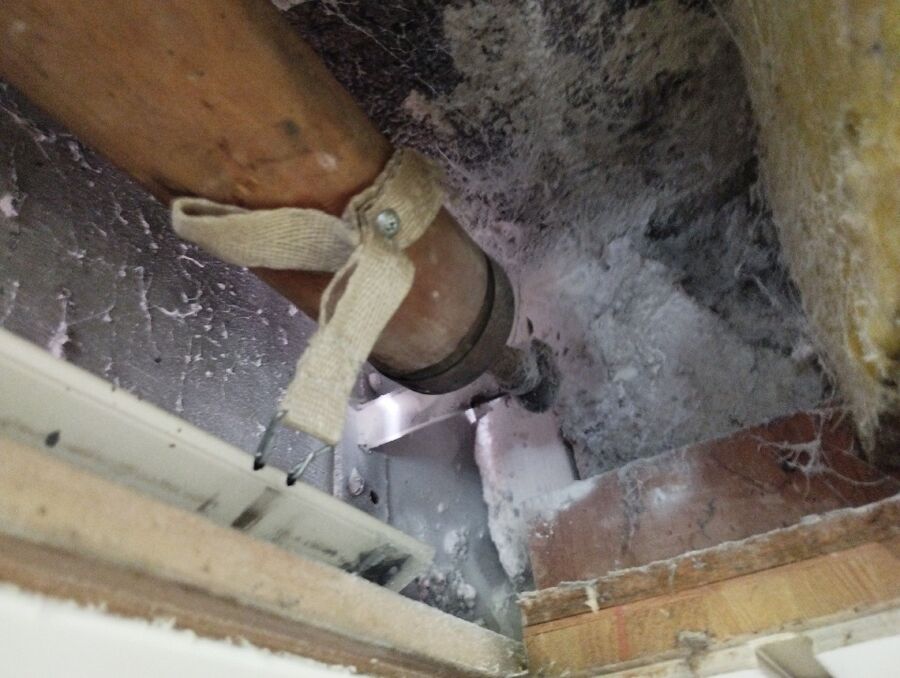 Bee nest at the house remove