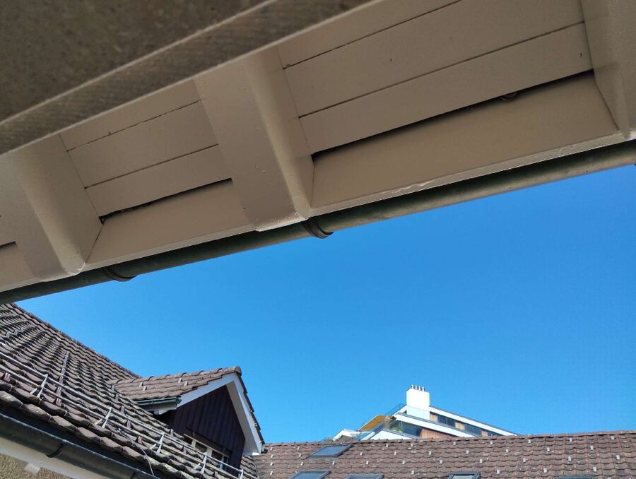 Bee nest at the house remove