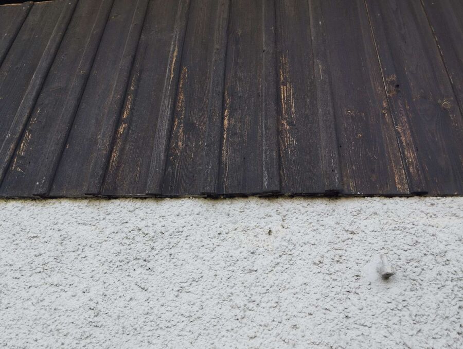 Bee nest at the house remove