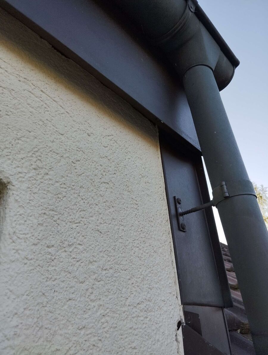 Relocate bees & remove bee nest