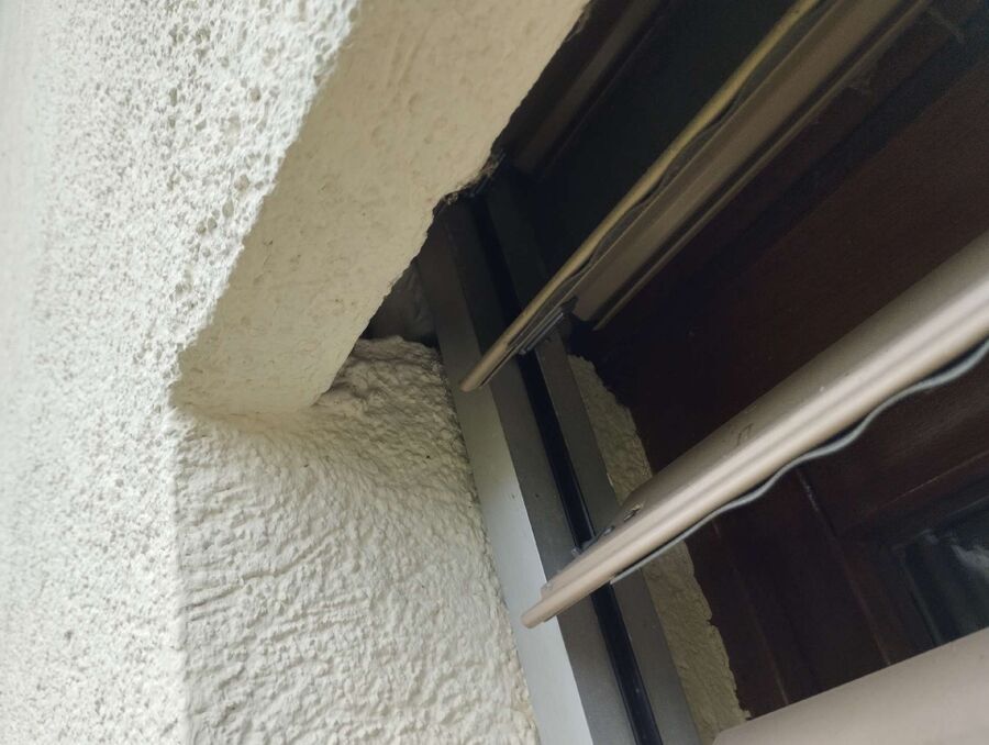 Bee nest at the house remove