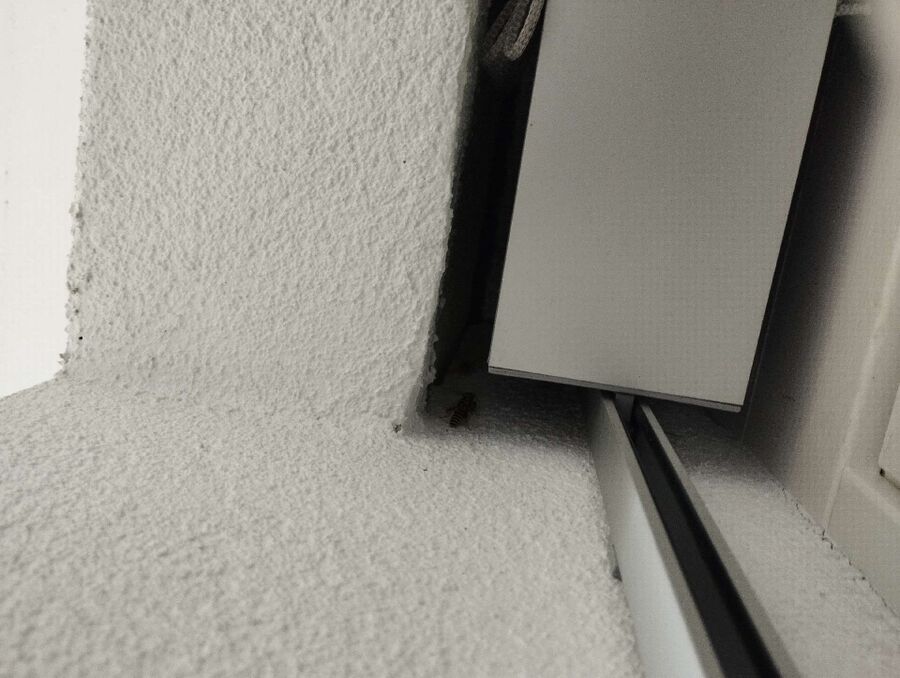 Bee nest at the house remove