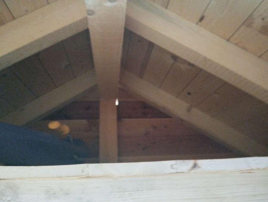 Bee nest at the house remove