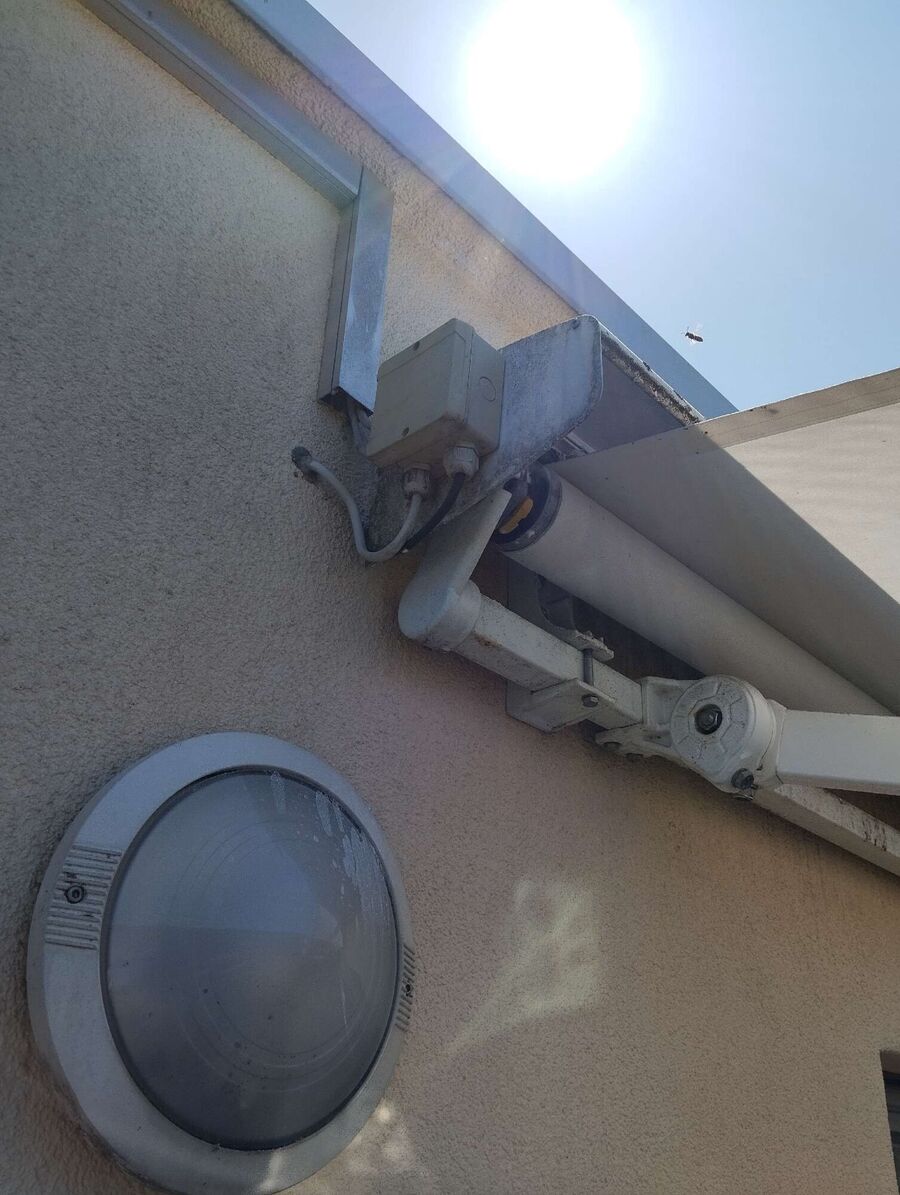 Relocate bees & remove bee nest