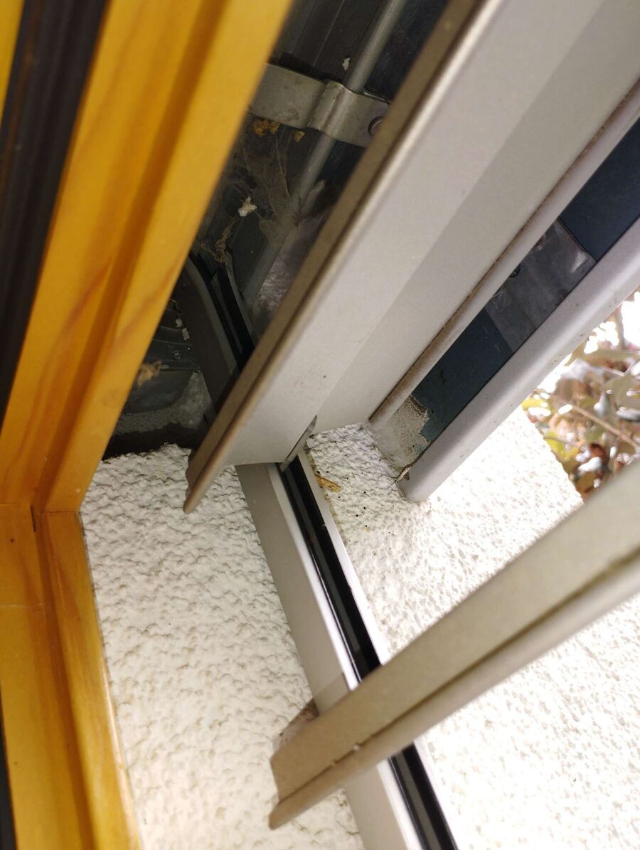 Bee nest at the house remove