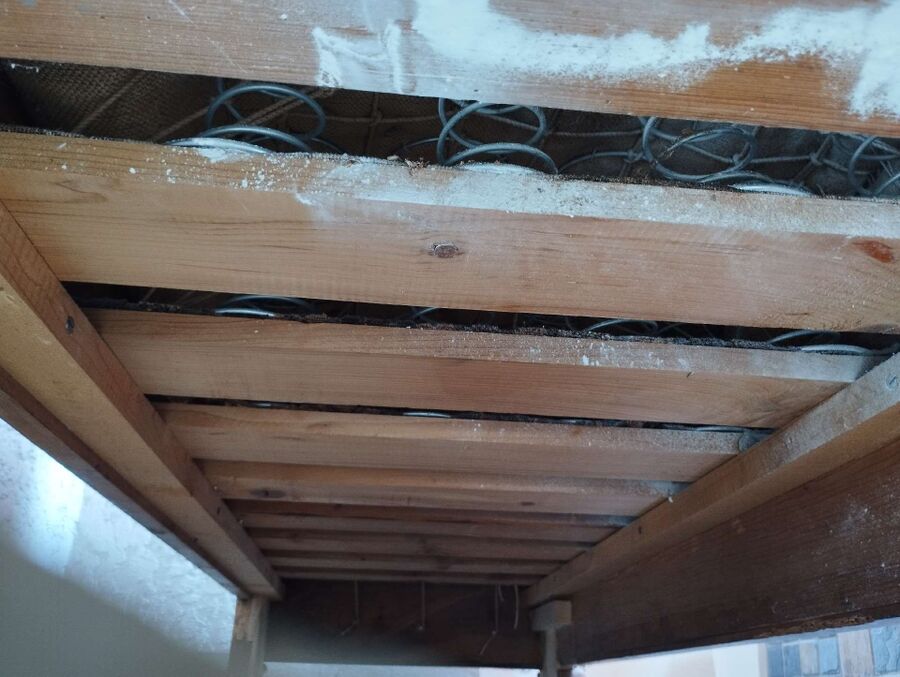 Relocate bees & remove bee nest