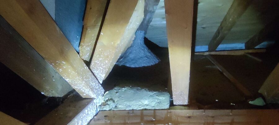 Bee nest at the house remove