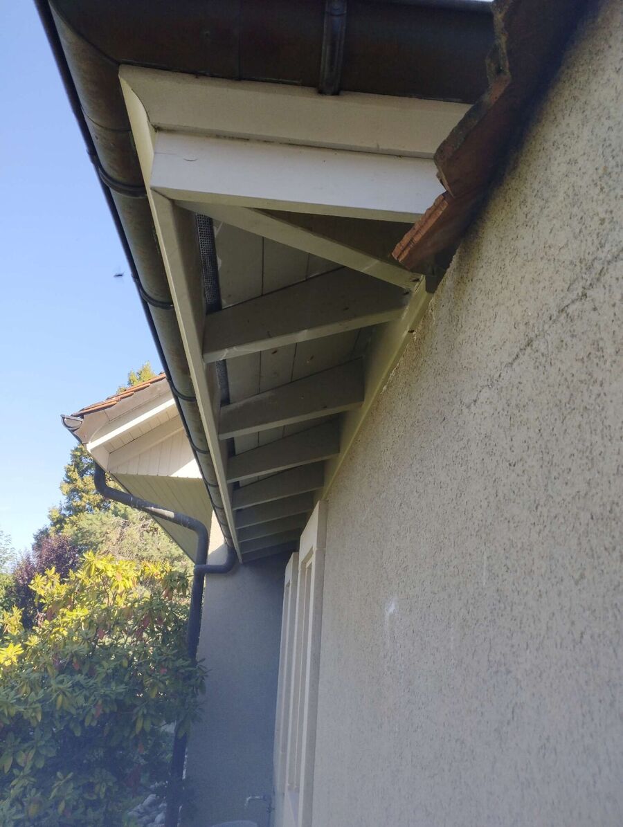 Bee nest at the house remove