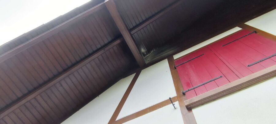 Bee nest at the house remove