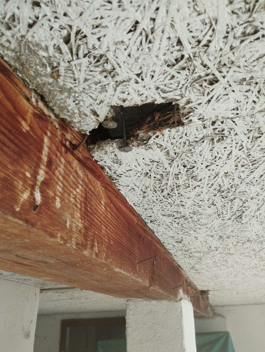 Bee nest at the house remove