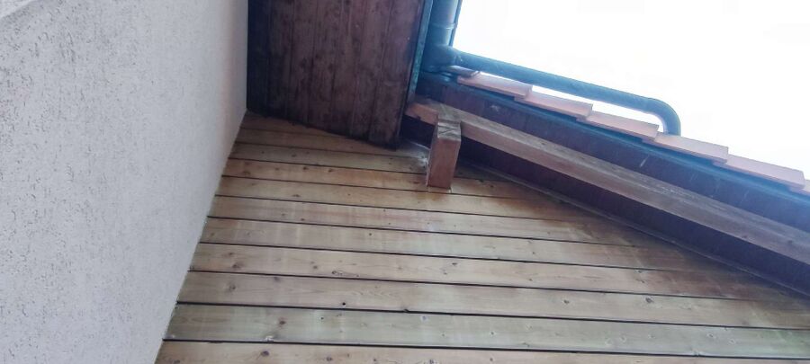 Relocate bees & remove bee nest