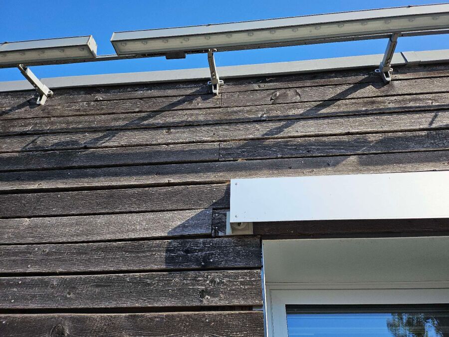 Bee nest at the house remove