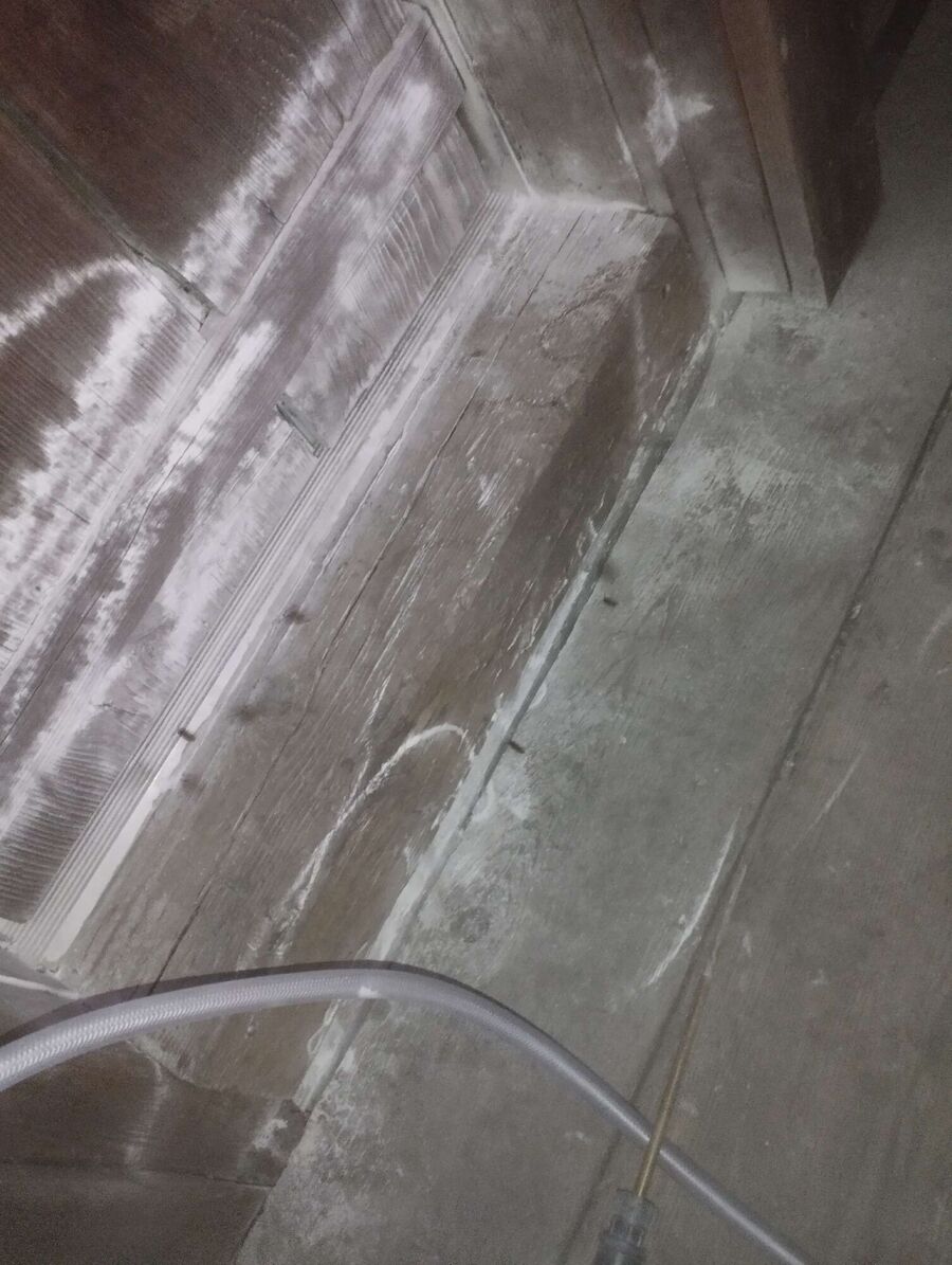 Relocate bees & remove bee nest