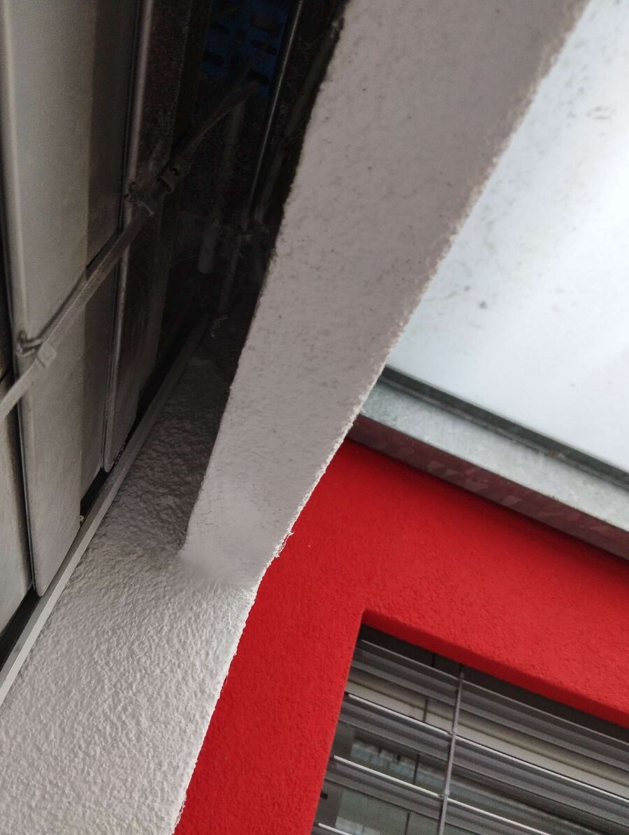 Relocate bees & remove bee nest