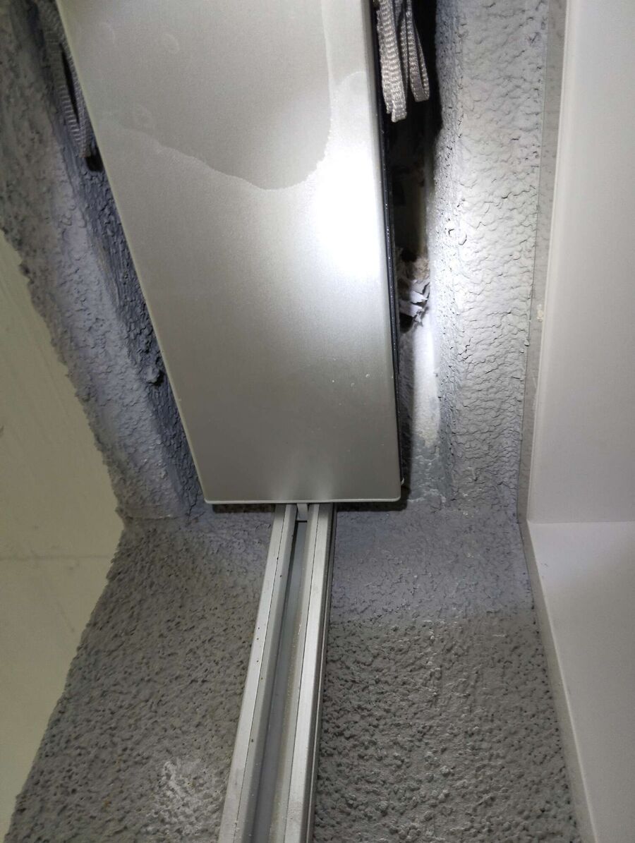 Relocate bees & remove bee nest