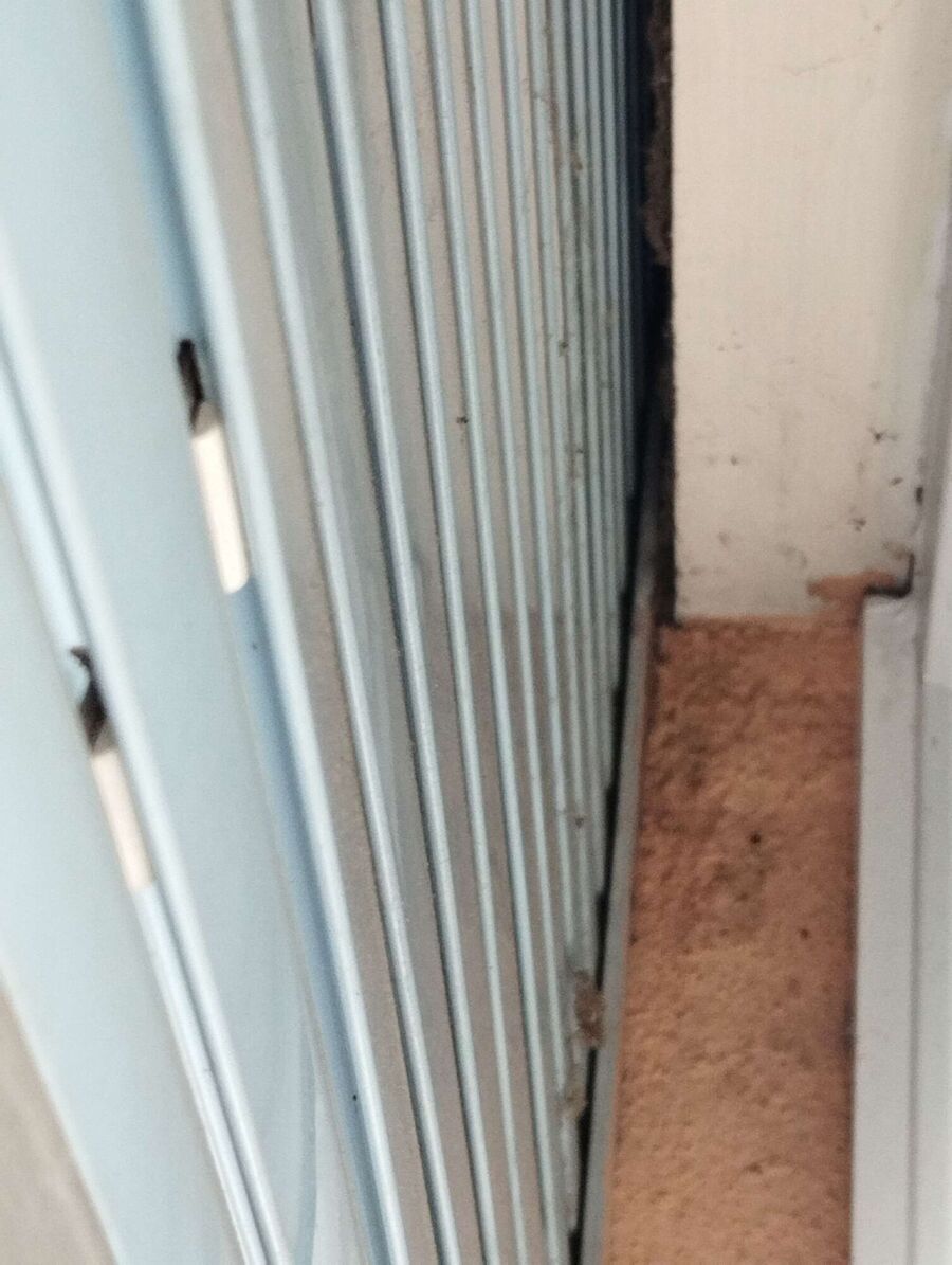 Bee nest at the house remove