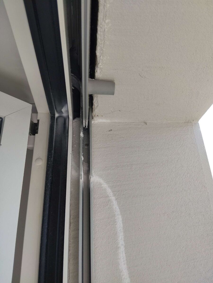 Relocate bees & remove bee nest