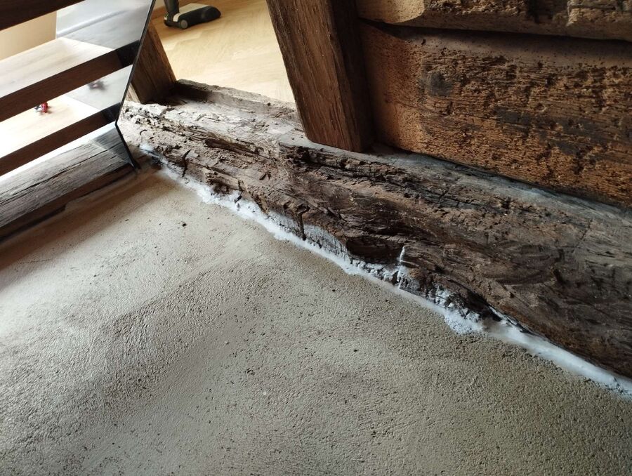 Relocate bees & remove bee nest