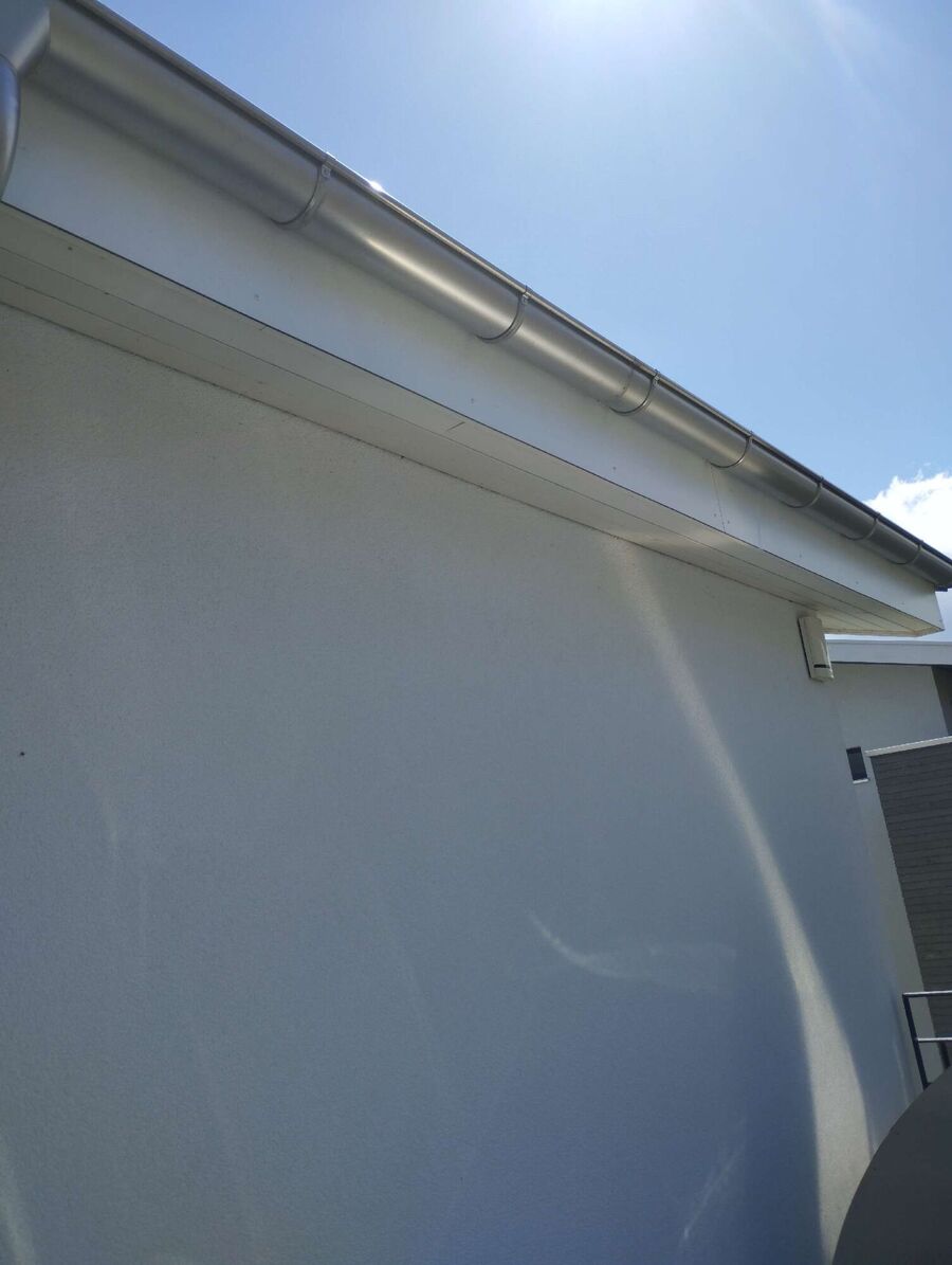 Relocate bees & remove bee nest