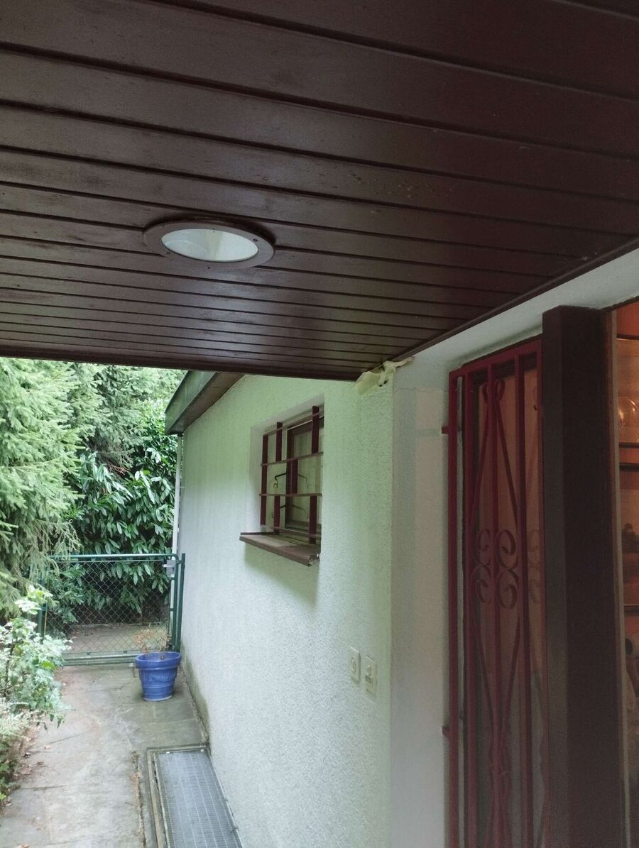 Bee nest at the house remove