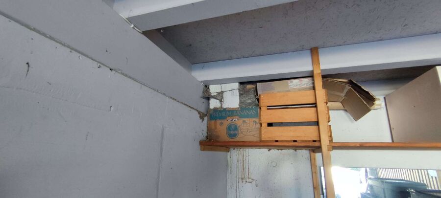 Bee nest at the house remove