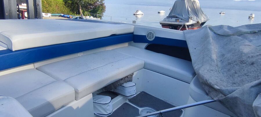 Bee nest at the house remove