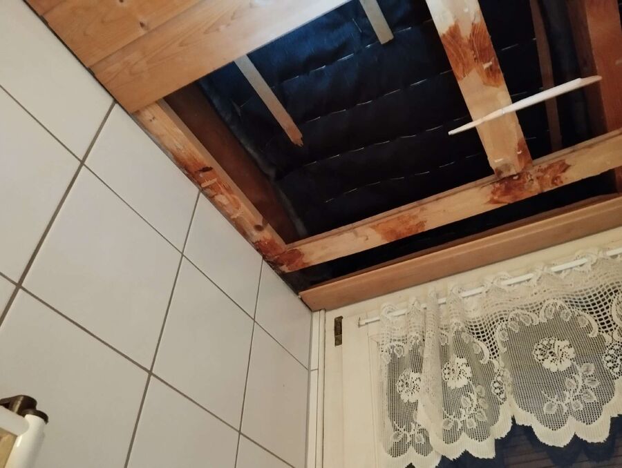 Bee nest at the house remove