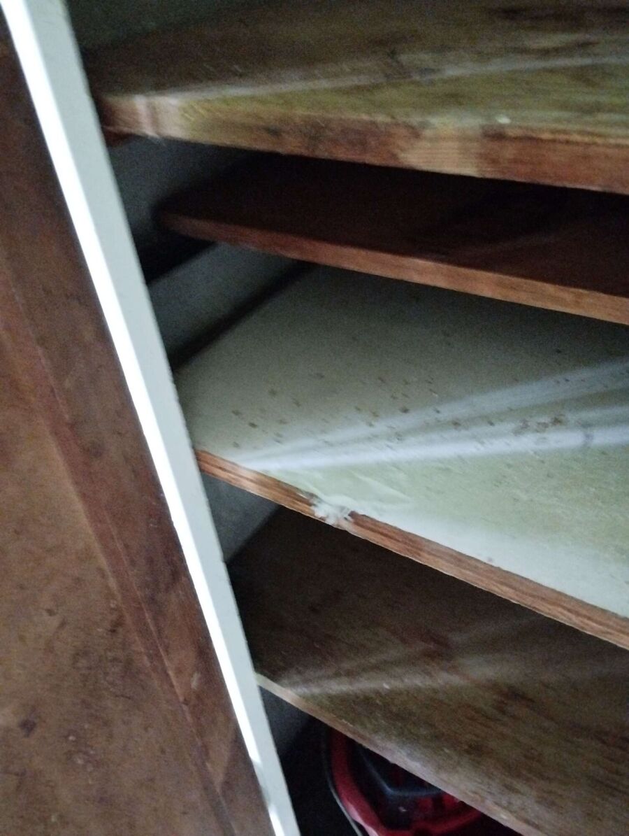 Bee nest at the house remove