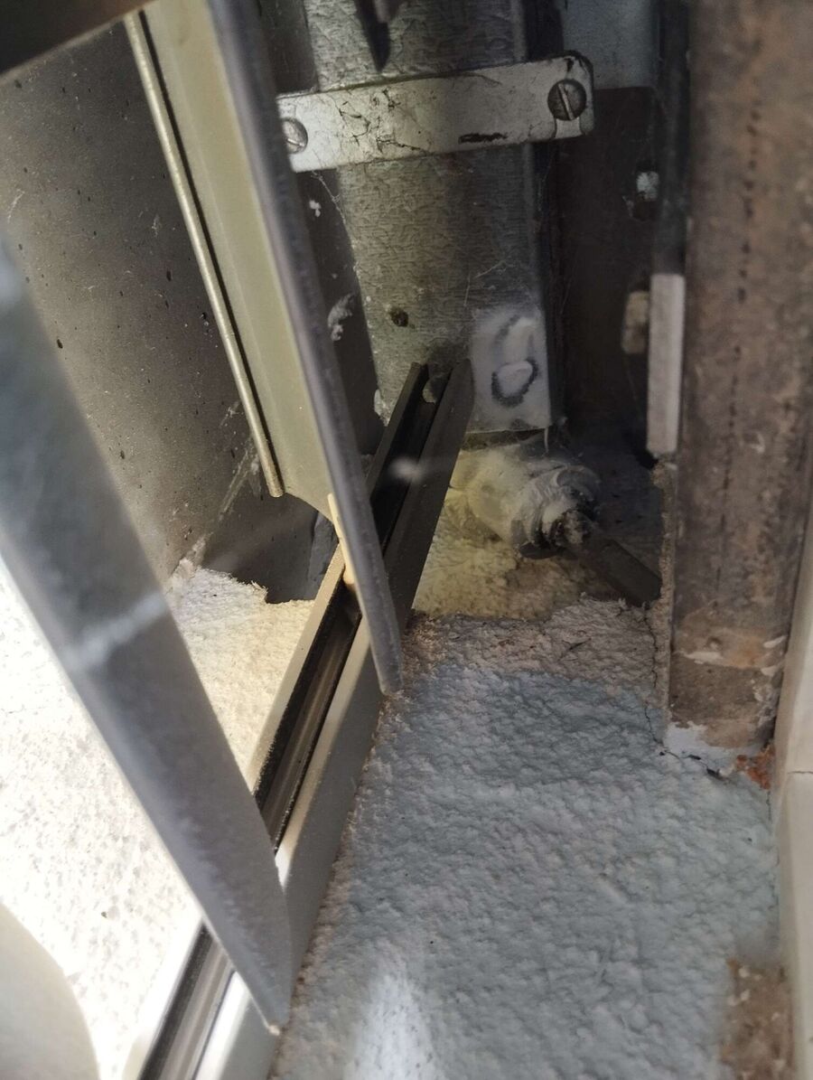 Relocate bees & remove bee nest