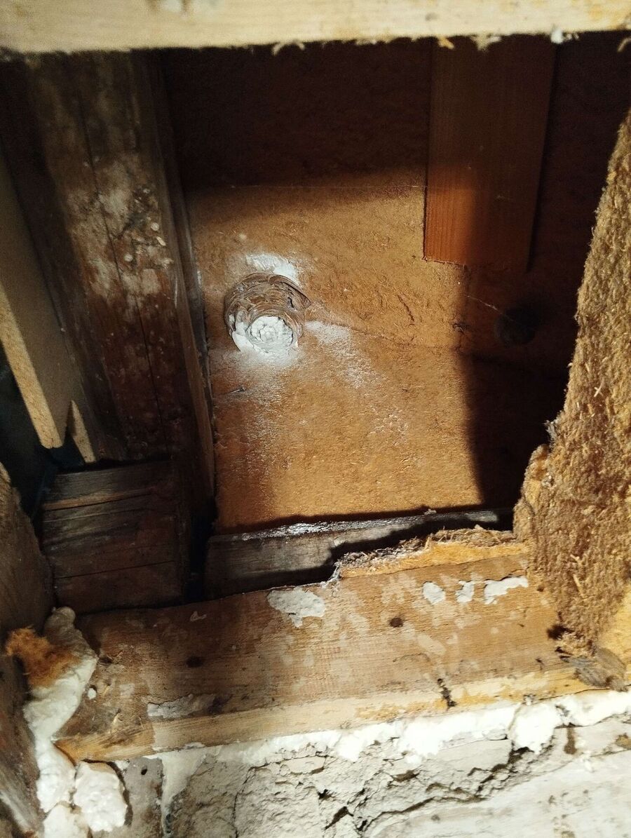 Bee nest at the house remove