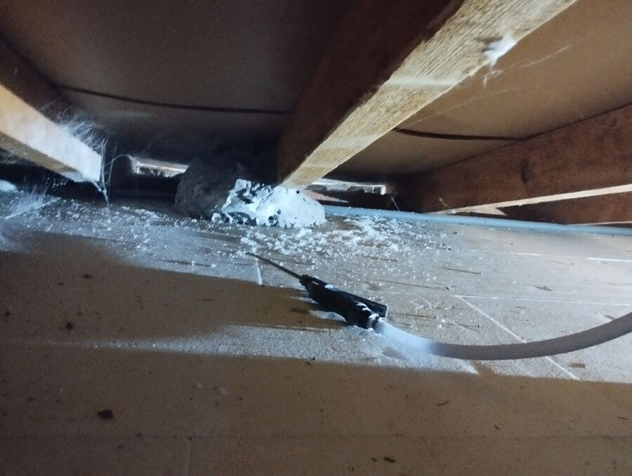 Bee nest at the house remove