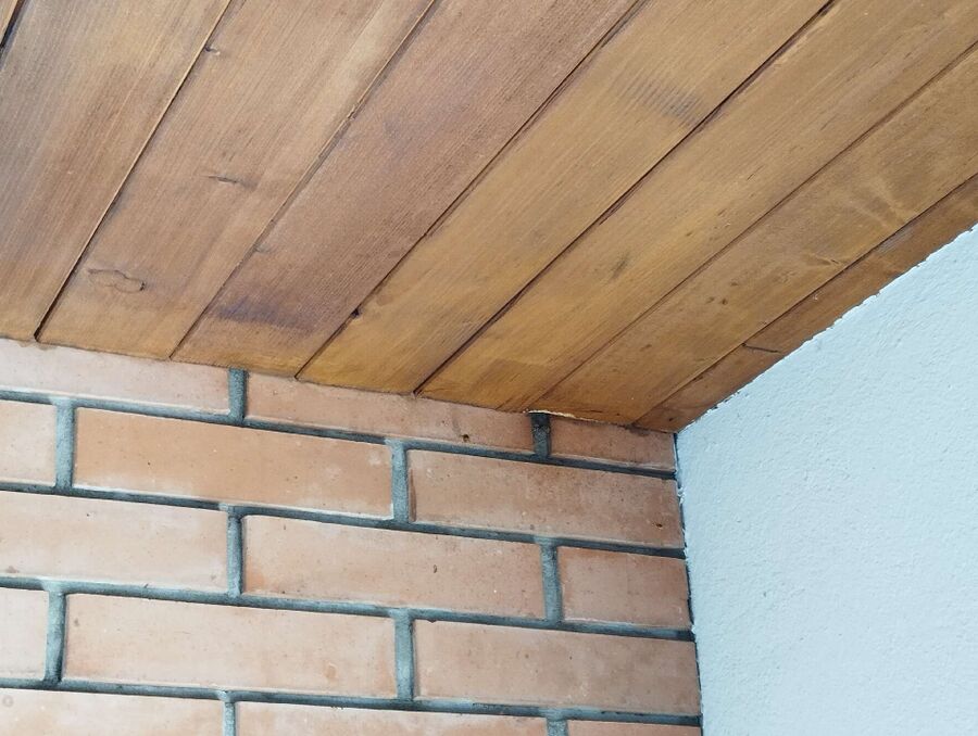 Bee nest at the house remove