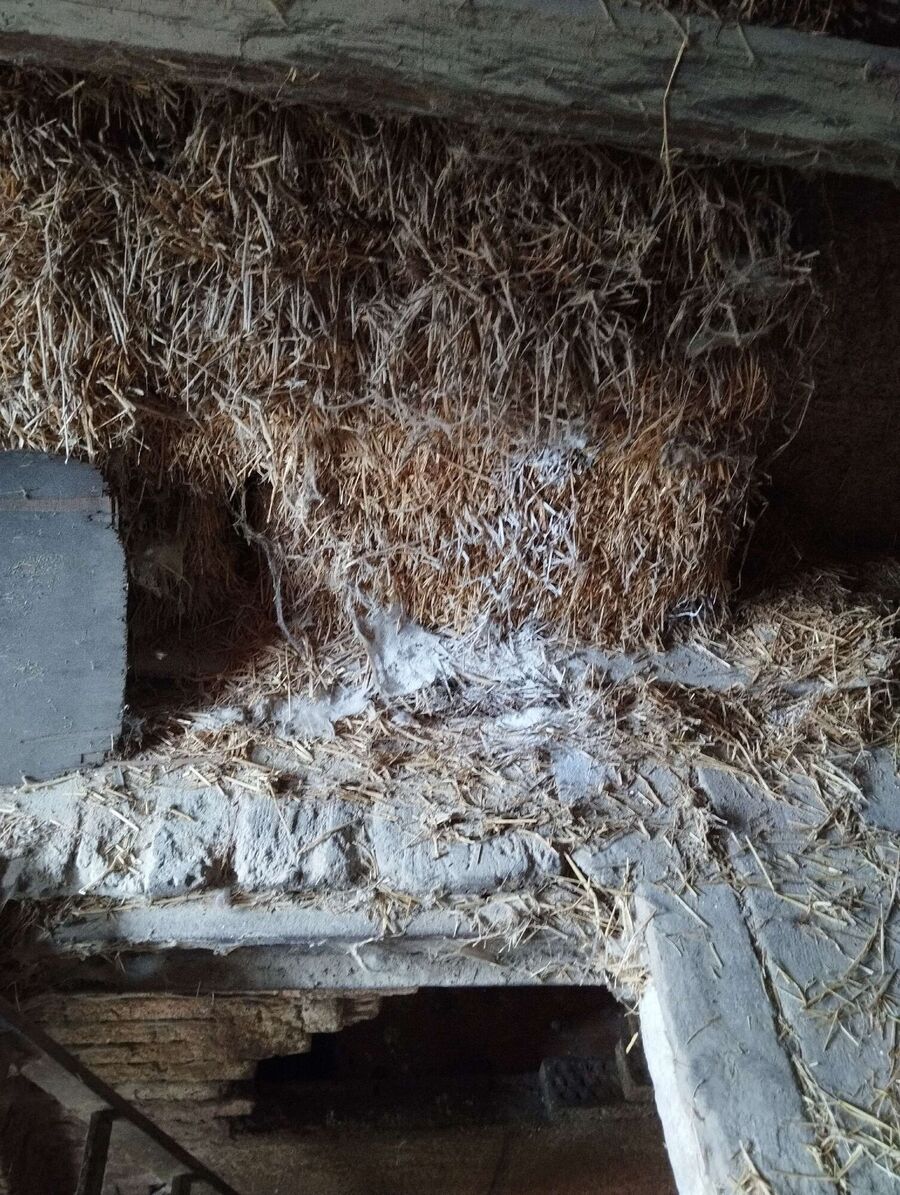 Bee nest at the house remove