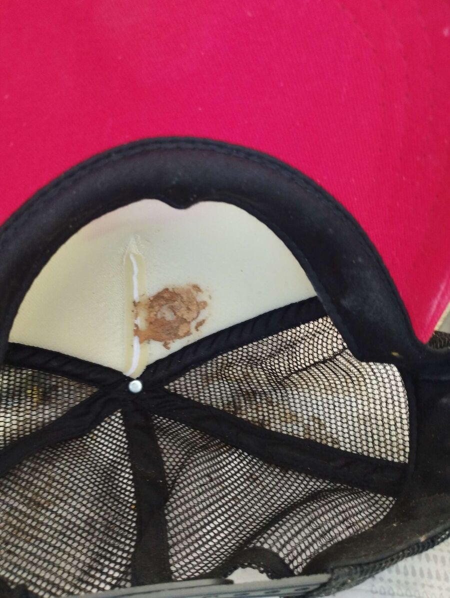 Bee nest at the house remove