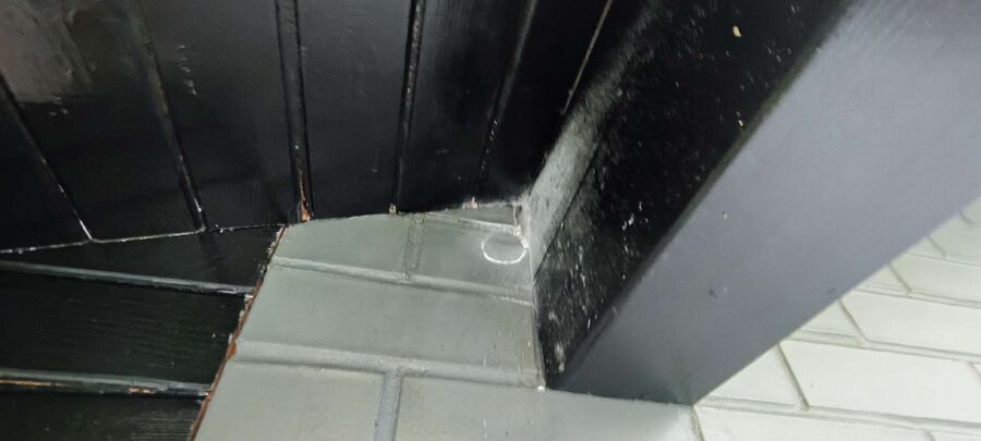 Bee nest at the house remove