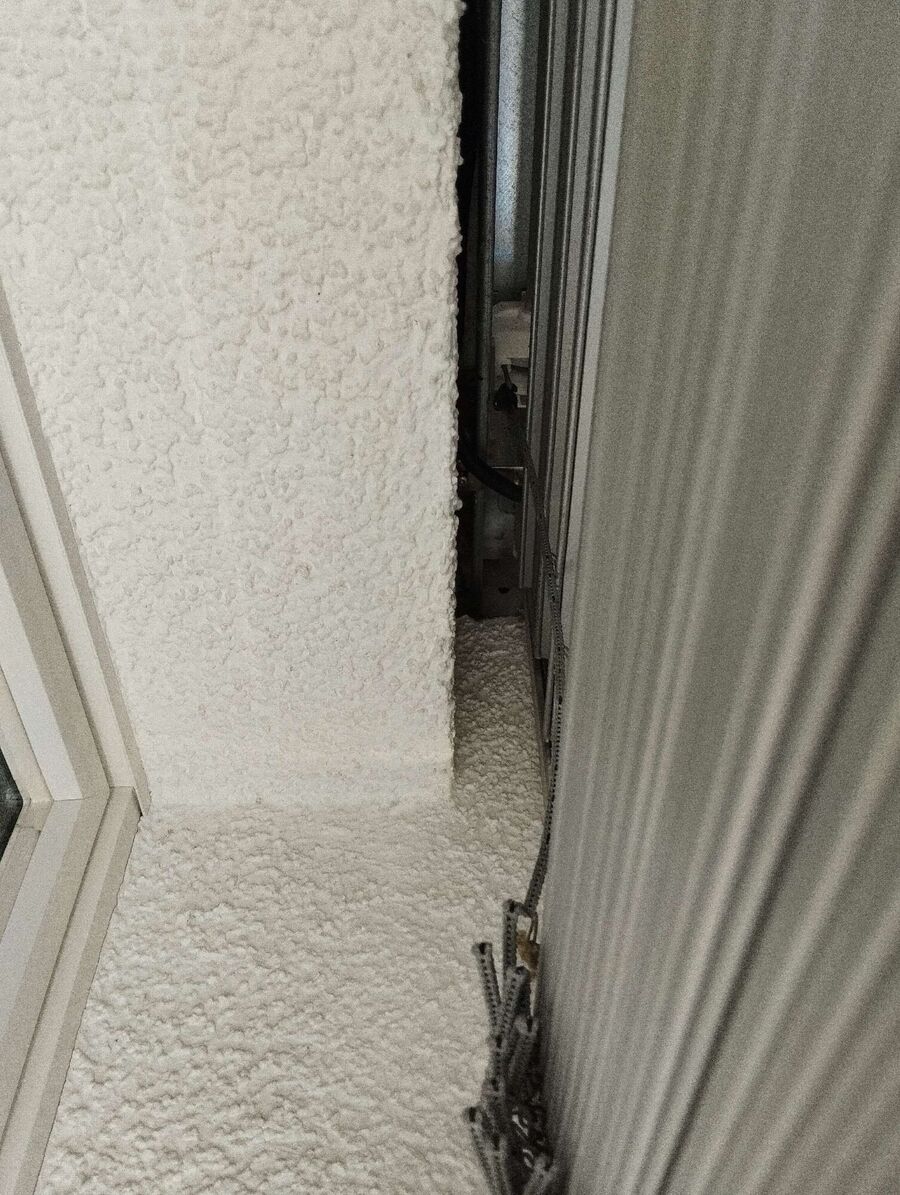 Relocate bees & remove bee nest