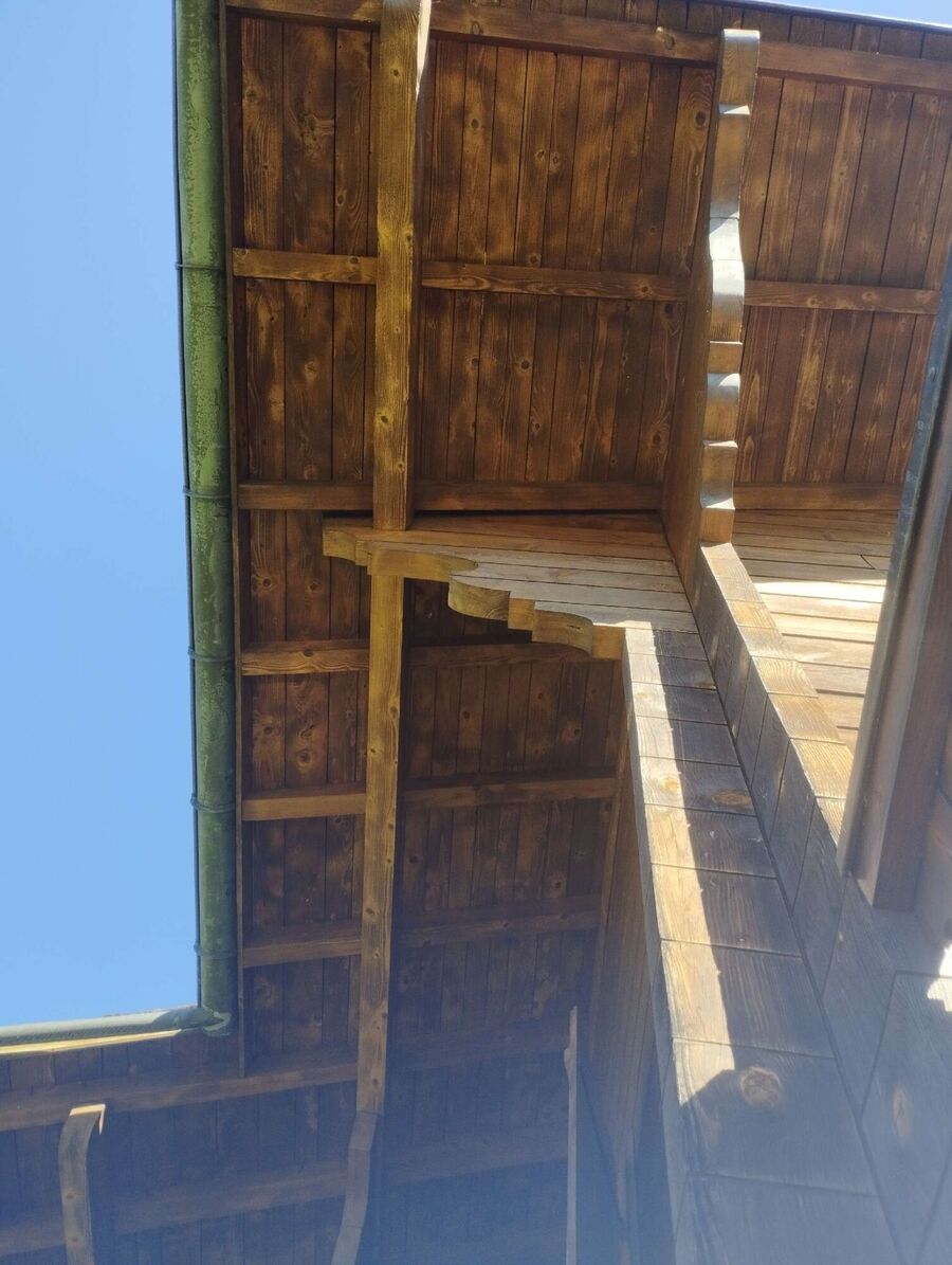 Bee nest at the house remove