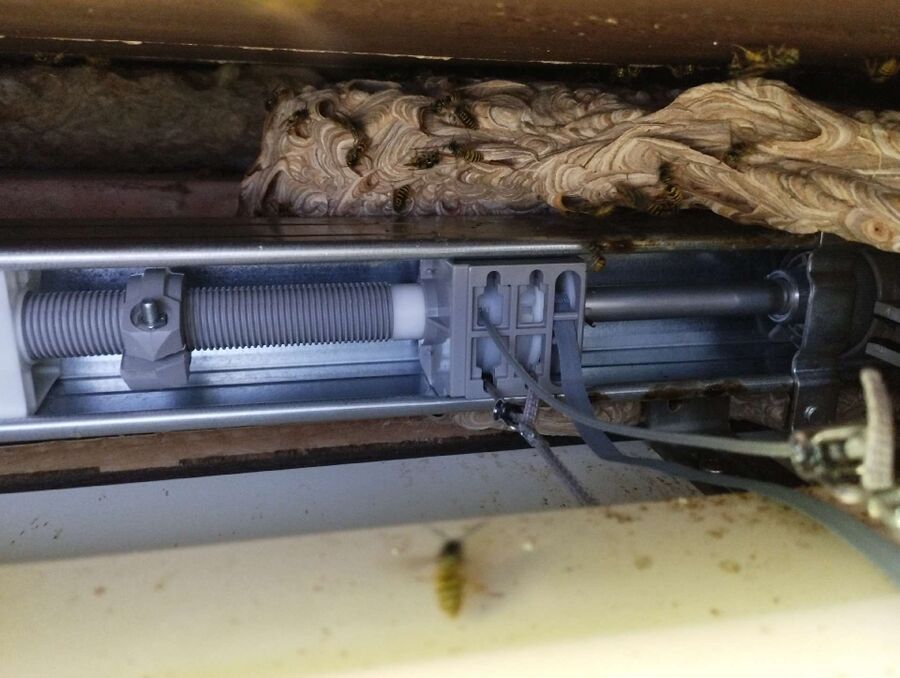 Bee nest at the house remove