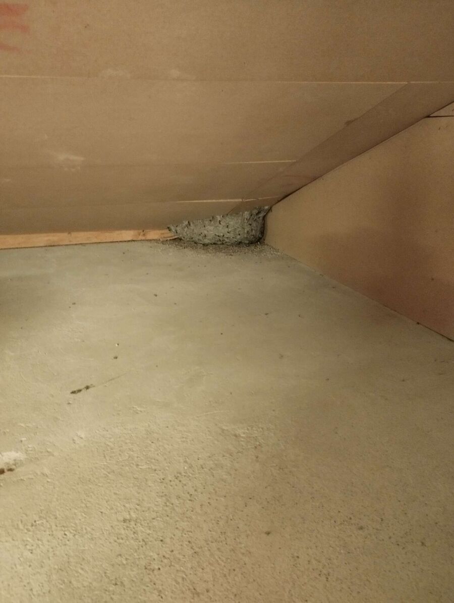 Bee nest at the house remove