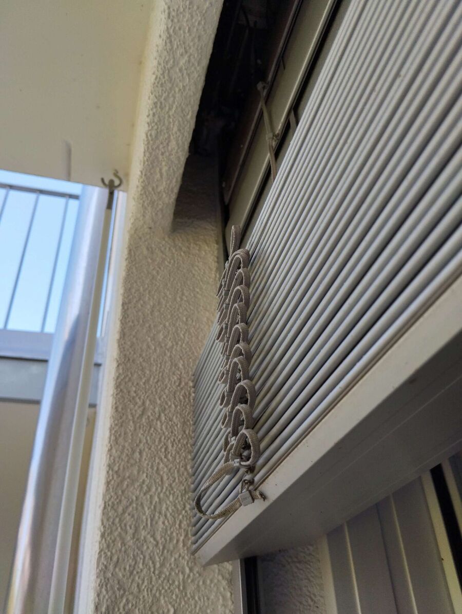 Bee nest at the house remove