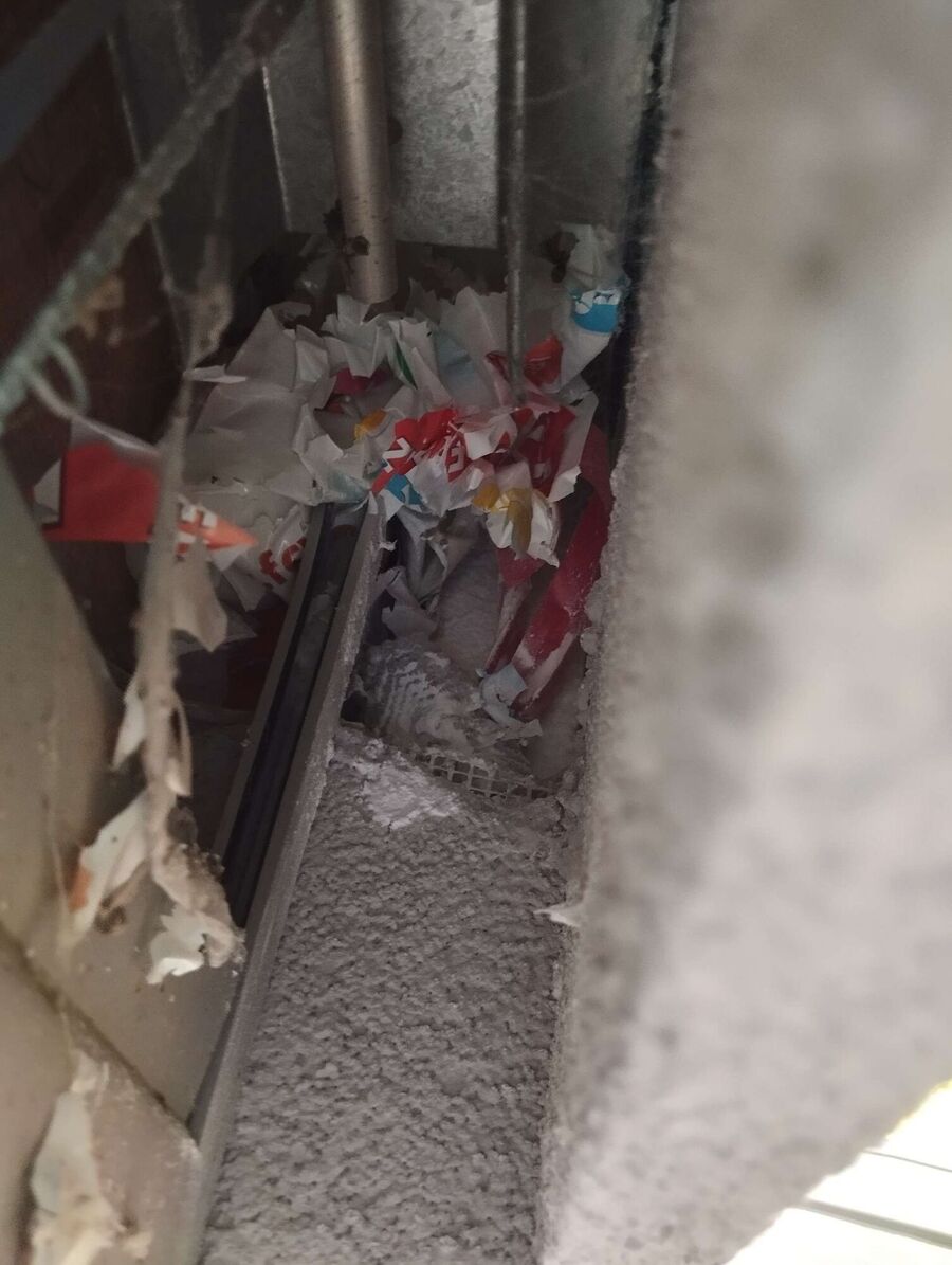 Bee nest at the house remove