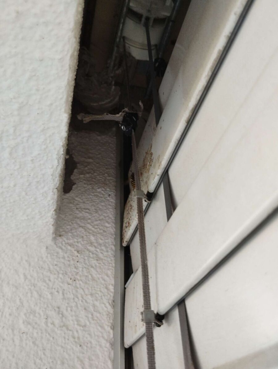 Bee nest at the house remove