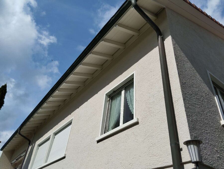 Bee nest at the house remove