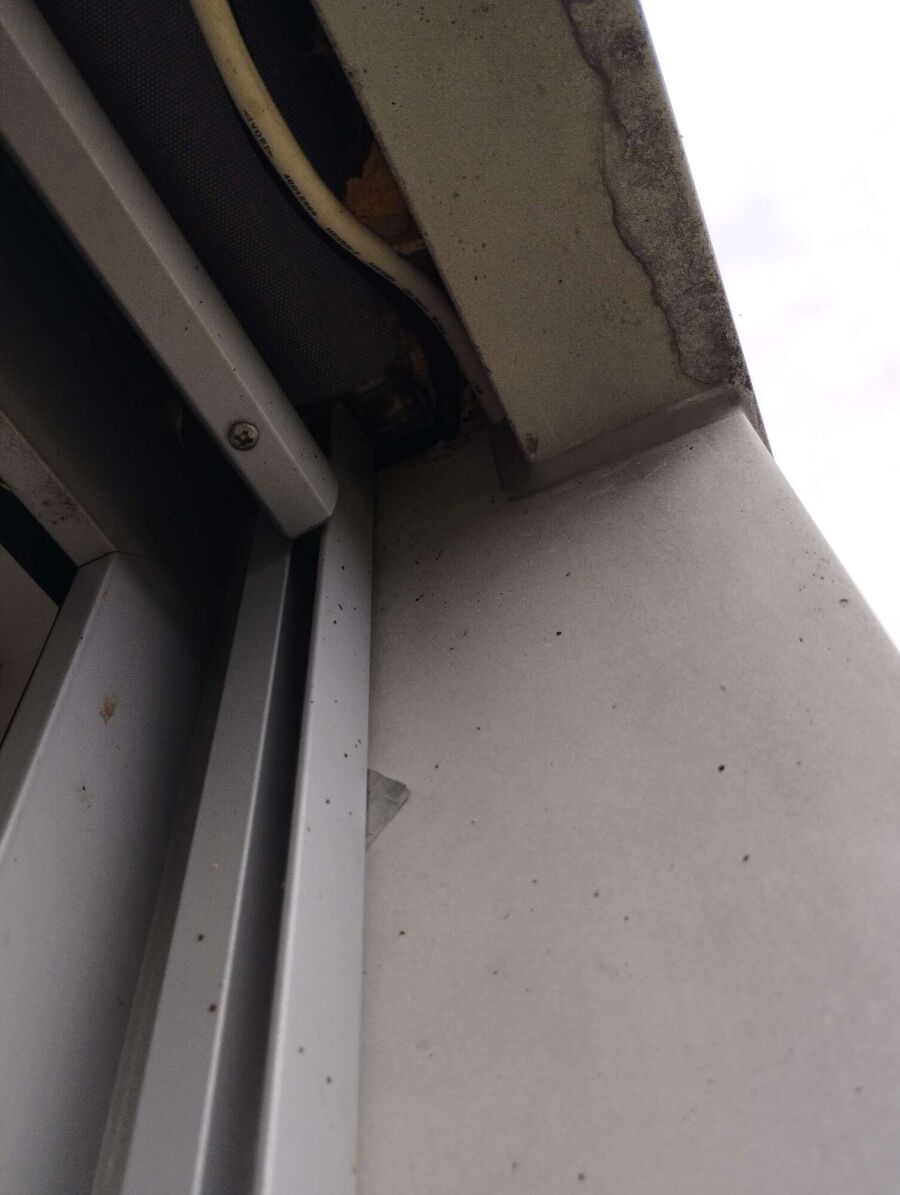 Bee nest at the house remove