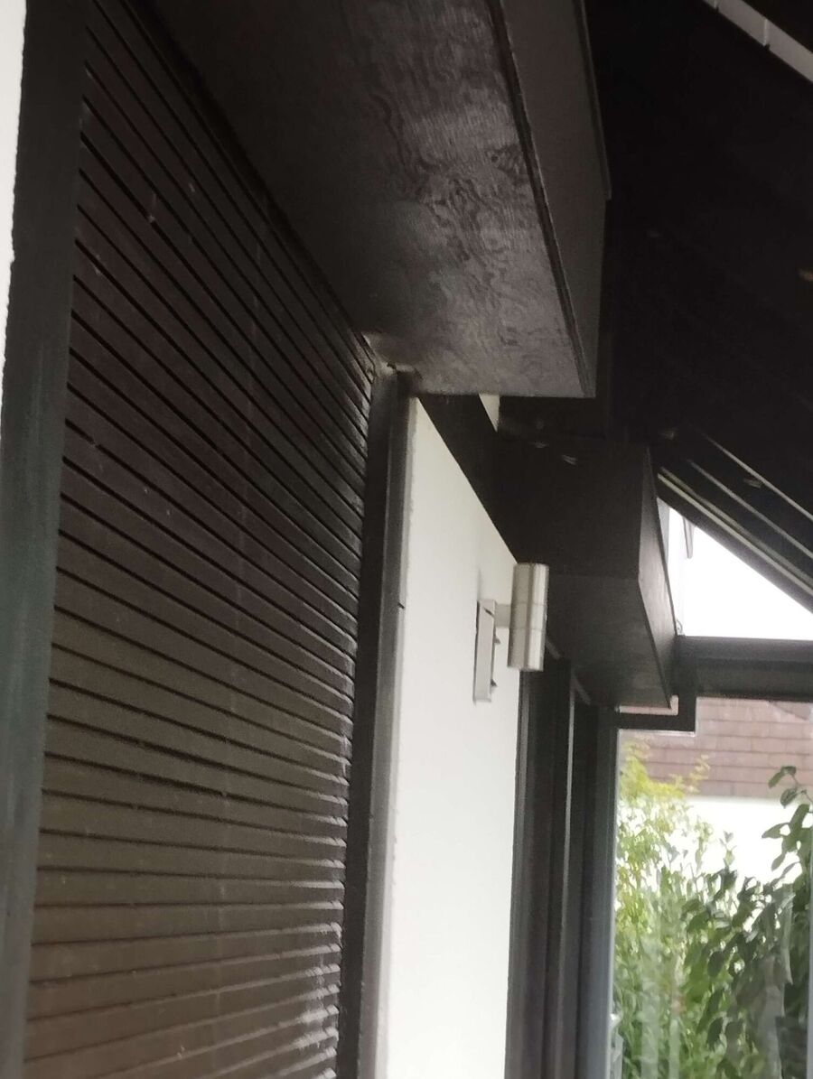 Relocate bees & remove bee nest