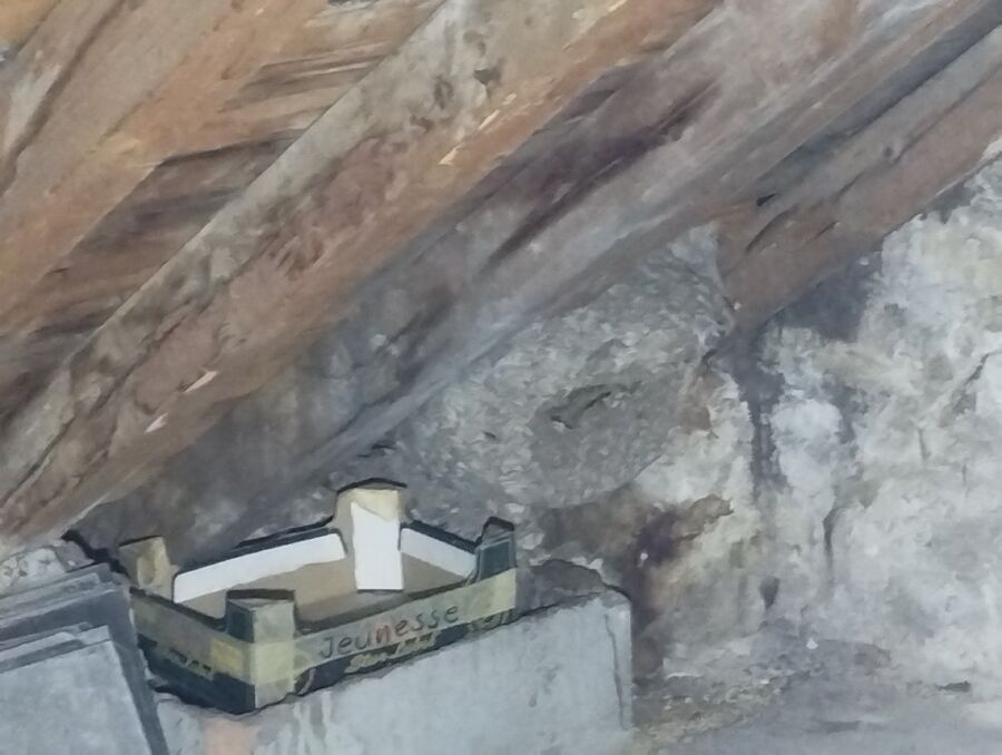 Bee nest at the house remove