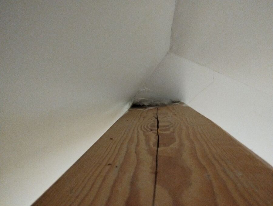 Bee nest at the house remove