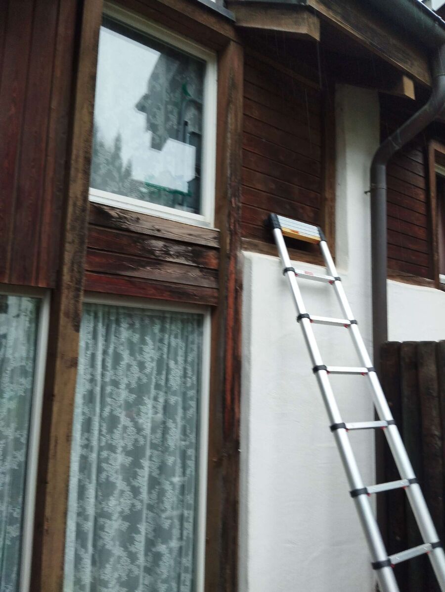 Bee nest at the house remove